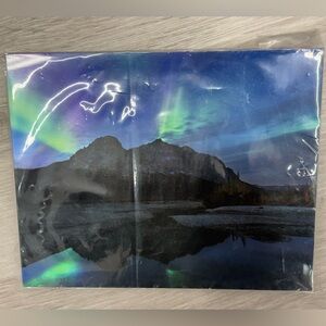 Metal Aurora Borealis Print